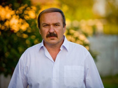 Депутати Бучанської міськради та злодюга Федорук кинули під сокиру майже 6,5 гектарів бучанського лісу