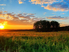 Прогноз погоди для мешканців Київщини на 31-ше липня