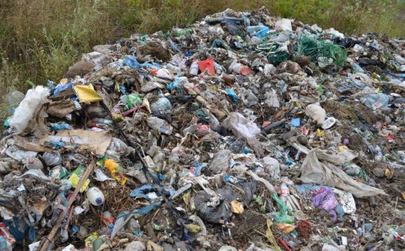 Екологічна катастрофа на Київщині: сільська влада нанесла шкоди природі на 207 мільйонів гривень