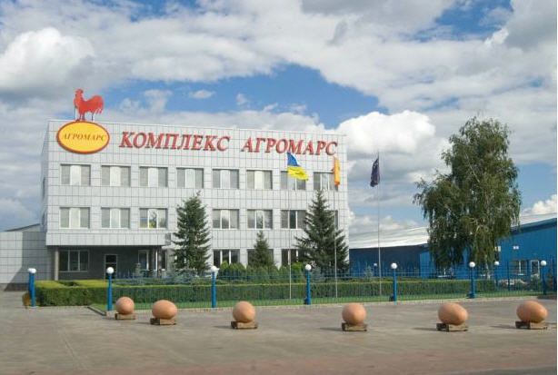 Дружина власника "Гаврилівські курчата": за ситуацію, яка склалася, вину несе "Київобленерго"